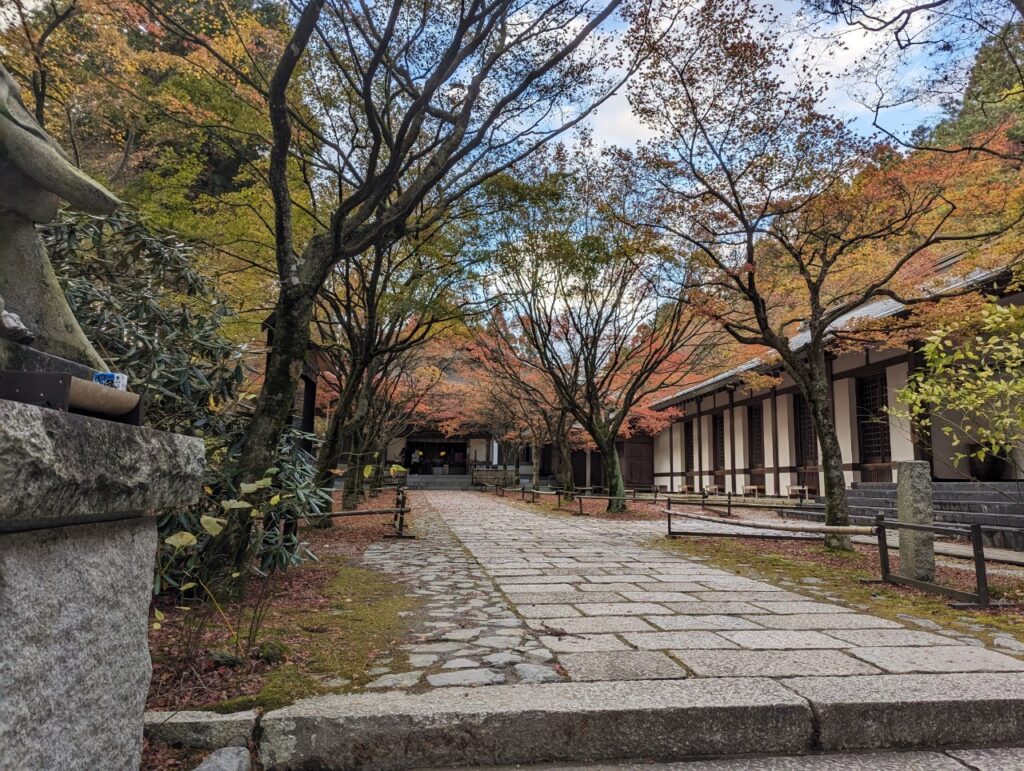 呑山観音寺の紅葉