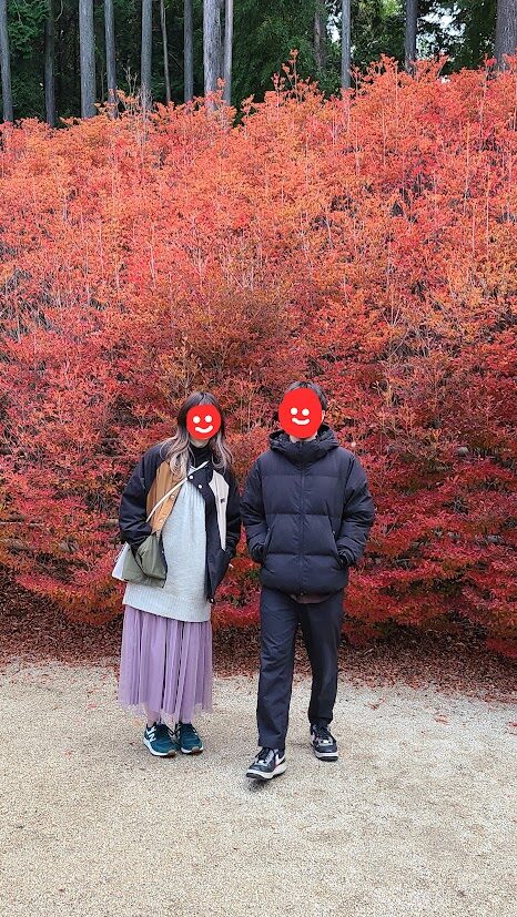 呑山観音寺のドウダンツツジ