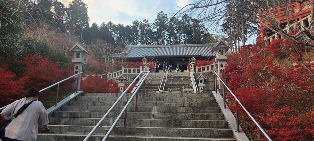 呑山観音寺の紅葉の画像_2